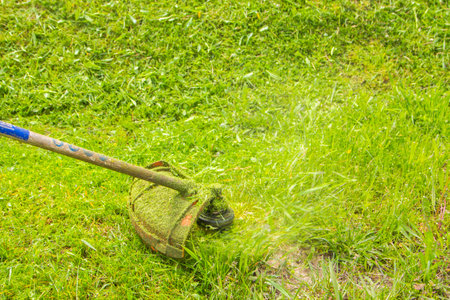 a man mows the grass with a chainsaw in the yard. the gardener is moving grass with a string lawn...