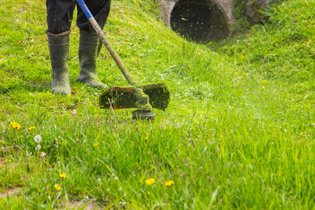 a man mows the grass with a chainsaw in the yard. the gardener is moving grass with a string lawn...