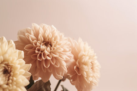 minimalist background of flowers in beige tones. generative ai.の素材