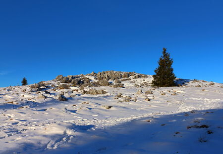 View Over The Clouds in The Alpsの写真素材