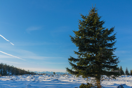 Beautiful sunrise in the Austrian Alpsの写真素材