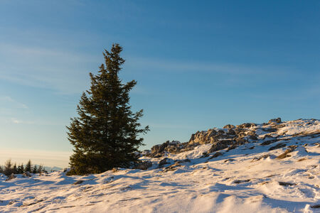 Beautiful sunrise in the Austrian Alpsの写真素材