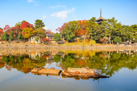 Sarusawaike Pond and The KohfukuJi temple with autumn foliage in Nara, Japanの写真素材