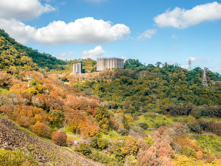 The autumn view in Shihmen Reservoir, Taoyuan, Taiwan.の写真素材