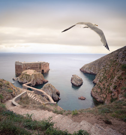 Island Fort with Seagull Flying Over the Coast. Berlenga island Portugal.の写真素材