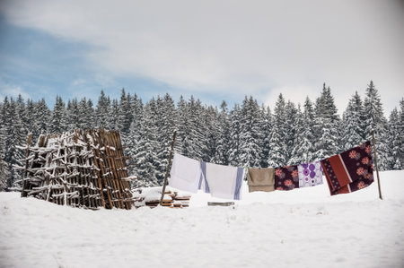 Laundry Drying on Clothesline with a Snowy Forest Backgroundの写真素材