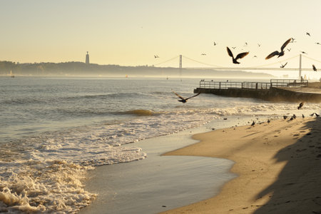 Birds Flying Over Lisbon Beach with Cristo Rei and Bridge. Lisbon Portugal.
