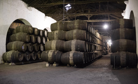Wine Barrels in Portuguese Cellar, Porto Portugal