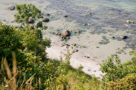 Scenic Coastal View with Trees, Rocks, and Clear Waterの写真素材
