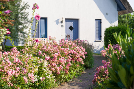 Traditional Cottage with Thatched Roof and Blue Doorの写真素材