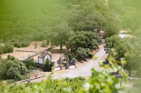 Framed View of Chapel, Road and Trees in Rural Portugalの写真素材