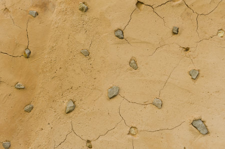 Cracked Mud Wall with Embedded Stones Texture