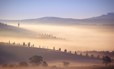 Misty Tuscan Landscape at Sunrise - Tuscany Italy.の写真素材