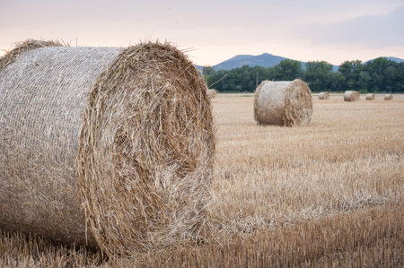 Hay Bales in a Field at Sunset, Hungary