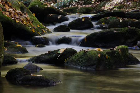 Forest stream: Brook cascades through mossy rocks in the forest.の写真素材