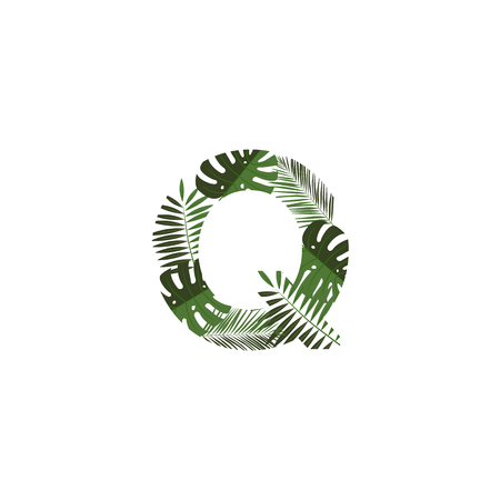 Tropical Jungle Vector Logo Letter Q. Q Letter Design Vector Jungle Monsterra Leaves.のイラスト素材