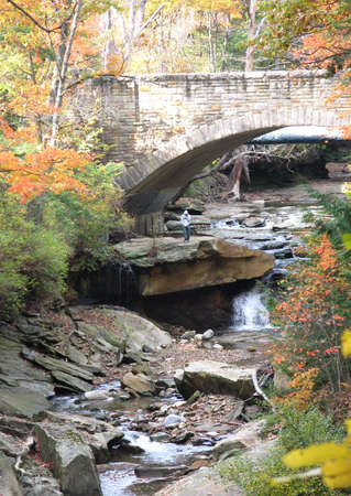 Fall in the  park Ohioの写真素材