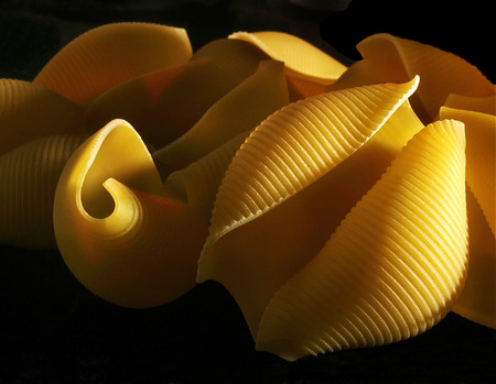 Pasta shells are photographed in a dramatic light. The background is black.の写真素材