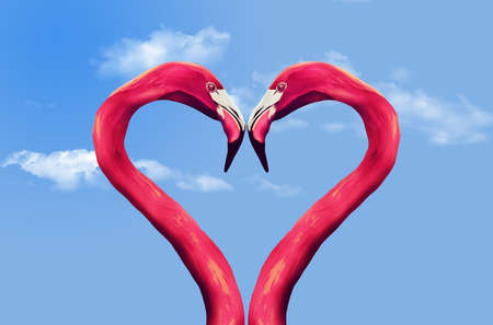Flamingos' curving necks form the shape of a heartの写真素材
