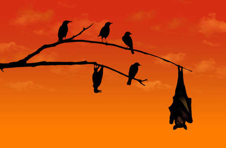 A bird imitates a bat and hangs from a branch upside down in this illustration about imitation.の写真素材