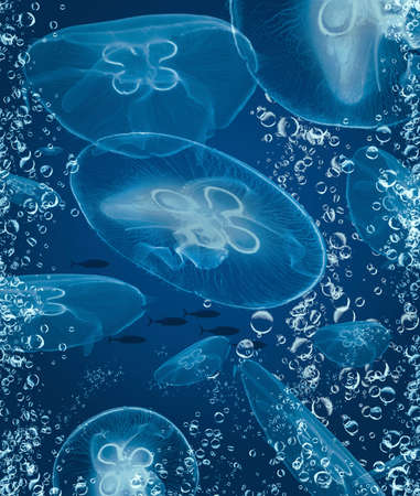 A school of tuna  and a group of moon jellyfish are seen in this underwater 3-d illustration.