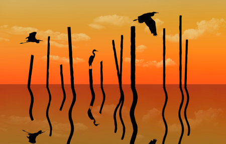 Great Blue Herons are seen at sunset on an inland lake in a 3-d illustraton.の写真素材