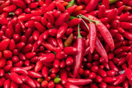 Red Chiliの写真素材