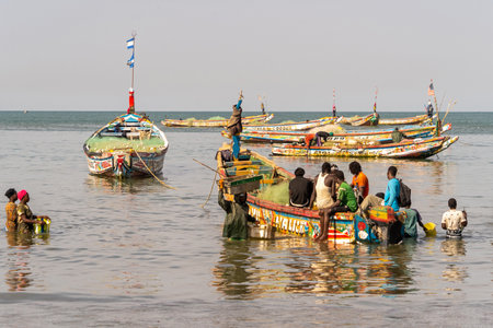 fishermen in boat, fish market in Gambiaの写真素材