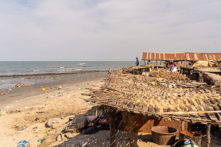 local traditional fish market in Gambia, Africaの写真素材