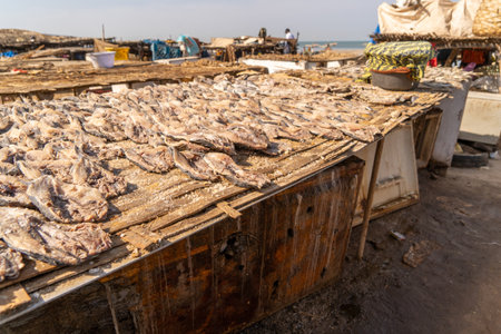 local traditional fish market in Gambia, Africaの写真素材