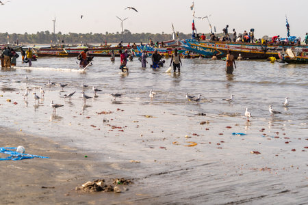 Fishermen and Gulls on the beach of Goa, Indiaの写真素材