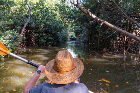 Kayaking on the mangroves of the Gambia River in Gambia, a woman in a kayakの写真素材