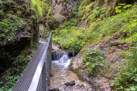 Bridge over the river in the gorge of the canyon, Slovakiaの写真素材