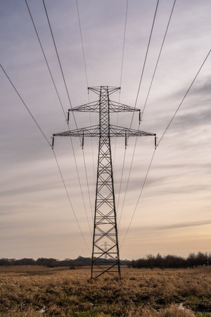 view of power poles in a fieldの写真素材