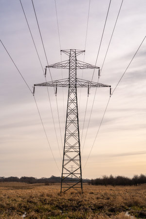 view of power poles in a fieldの写真素材