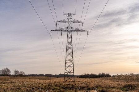 view of power poles in a fieldの写真素材