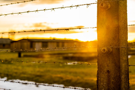 building, entrance gate of German death campの写真素材