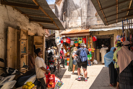 a view of streets and tenement houses in the city of zanzibarの写真素材