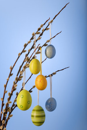 Easter Pussy Willow decorated with colorful Easter Eggs against blue background