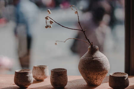 Japanese Cherry Plum Blossom in vaseの写真素材