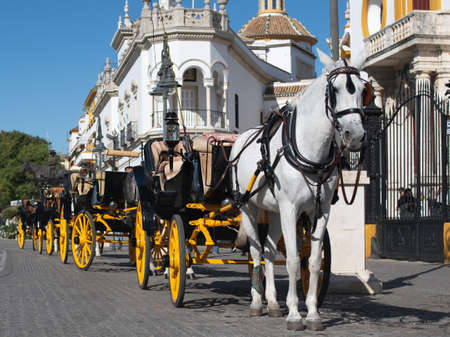 Seville, Spain - November 16, 2019: Romantic horse carrige on the street in Seville in front of the Plaza de Toroのeditorial素材