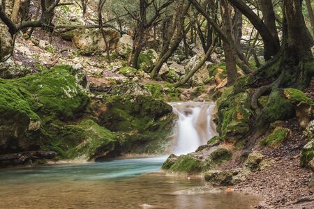 Rapid river running through the stones in an amazing green mediterranean mountain forest with waterfall and broken trees long exposureの写真素材