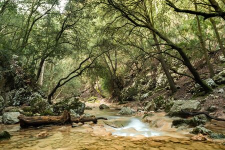 Rapid river running through the stones in an amazing green mediterranean mountain forest with broken trees long exposureの写真素材
