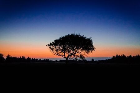 Sunset shadowsの写真素材