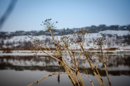 The nature of the Thingvellir national park at Icelandの写真素材