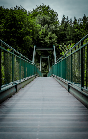 A bridge to the forestの写真素材