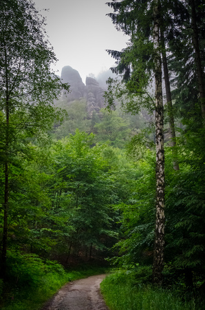Foggy Elbe Sandstone Mountains in Saxon Switzerlandの写真素材