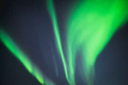 Aurora borealis above the mountains  on the Lofoten - Norway Lofoten - Norwayの写真素材