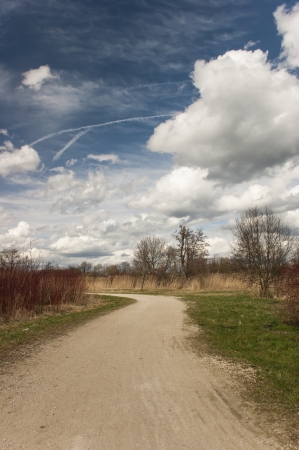 a little road in a spring landscape with cloudy blue skyの写真素材