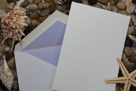 still life, shellsの写真素材